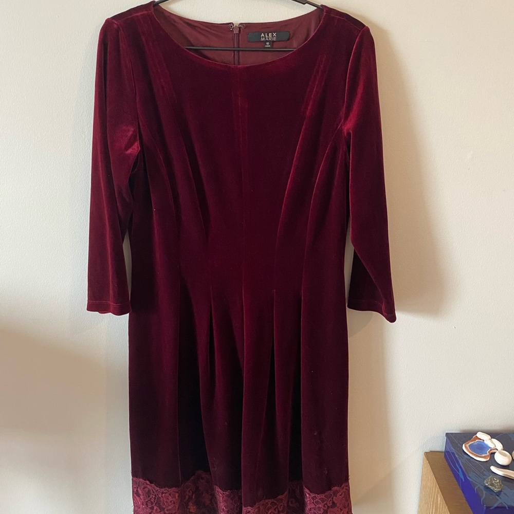 Vintage Velvet Alex Marie Dress